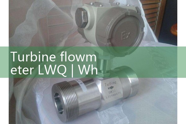 Turbine flowmeter LWQ